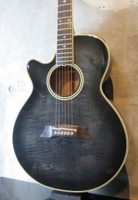 Takamine NPT-110 LEFTY 90's  See Through Dark Sunburst 