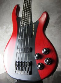 Moses Graphite Factory Custom / 5 String Bass 