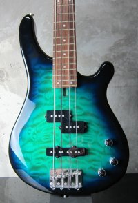 Fernandes FBR-40 / Blue Burst