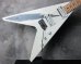 画像8: Aria Pro II XX-DLX Yngwie Malmsteen Flying V Model