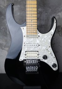 Ibanez RG Custom / Black