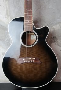 Takamine PT-106 / Gray Black Burst 