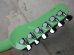 画像6: Hamiltone Stratocaster Set Neck Model Surf Green 