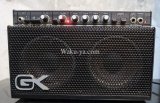 Gallien-Krueger 250ML 