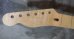 画像3: Warmoth Telecaster®  Maple Neck  22 Frets  /  Left Handed