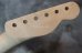 画像4: Warmoth Telecaster®  Maple Neck  22 Frets  /  Left Handed