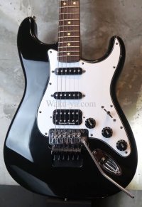 Davis Custom Guitars Vintage Stratocaster Black FRT