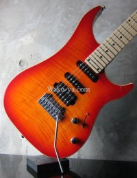 Vigier Excalibur Ultra Blues / Amber 