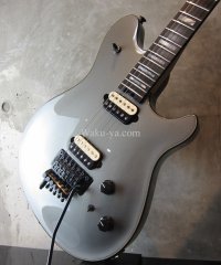 EVH Wolfgang USA Silver 