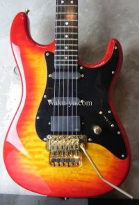 Valley Arts USA Custom Pro  / One Piece Maple / FIRE BURST