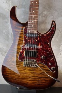 Tom Anderson Angel-Family / Guardian Angel / Tiger Eye Burst with Binding