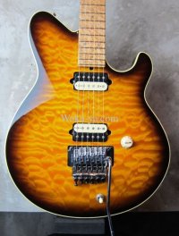 Terry Rogers Lisa / Birdseye Neck /Super Quilt Sunburst