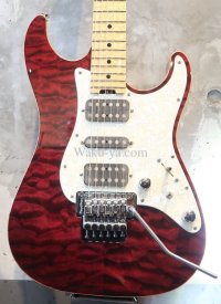 SCHECTER EX-5  22 CTM FRT / RSB / Birds Eye Flame Maple 