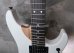 画像10: Washburn N4 Nuno Bettencourt White Prototype / Bronze Hardware