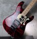 画像13: Charvel USA Custom Shop Warren DeMartini Blood and Skull 