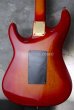 画像12:  Valley Arts Custom Pro USA '90 / １Piece Flame Maple / Fire burst 