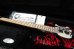 画像14: Charvel USA Custom Shop Warren DeMartini Blood and Skull 