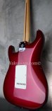 画像6: Fender Custom Shop Robin Trower Strat NOS Midnight Wine Burst