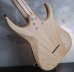 画像12: Skervesen Raptor 7 Lefty Natural / Rzeczpospolita Polska