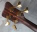 画像7: Warwick Streamer Stage II '89 / West Germany