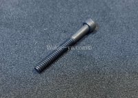 Steinberger Face Plate用 / Socket Head Cap Screw for GL