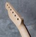 画像14: Warmoth Maple Neck 22F /  Indian Rosewood / Vintage Moderen Telecaster®️