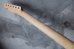 画像8: Warmoth Maple Neck 22F /  Indian Rosewood / Vintage Moderen Telecaster®️