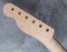 画像7: Warmoth Maple Neck 22F /  Indian Rosewood / Vintage Moderen Telecaster®️