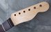 画像3: Warmoth Maple Neck 22F /  Indian Rosewood / Vintage Moderen Telecaster®️