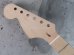 画像3: Warmoth Stratocaster Neck 22 Fretted Maple / Left Hand / Large Head