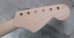 画像7: Warmoth Stratocaster Neck 22 Fretted Maple / Left Hand / Large Head