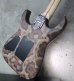 画像12: ♫即納可能☆ Charvel USA Custom Shop Warren De Martini/  Signature / SnakeSkin Graphic