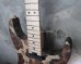 画像10: ♫即納可能☆ Charvel USA Custom Shop Warren De Martini/  Signature / SnakeSkin Graphic