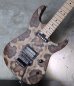 画像13: ♫即納可能☆ Charvel USA Custom Shop Warren De Martini/  Signature / SnakeSkin Graphic