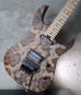 画像9: Charvel USA Custom Shop Warren De Martini/  Signature / SnakeSkin Graphic　(2)