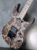 画像13: Charvel USA Custom Shop Warren De Martini/  Signature / SnakeSkin Graphic　(2)