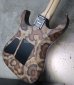 画像12: Charvel USA Custom Shop Warren De Martini/  Signature / SnakeSkin Graphic　(2)