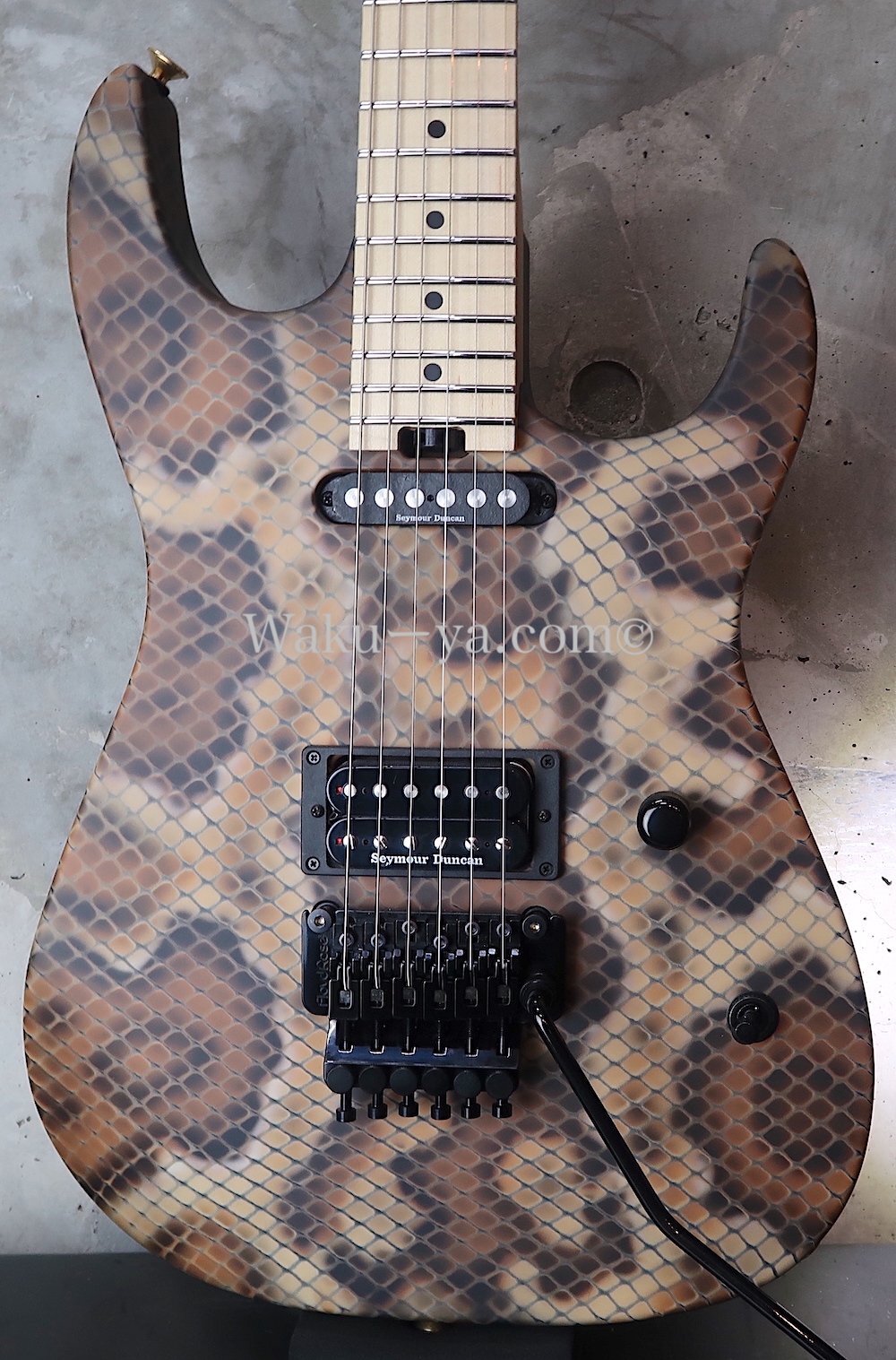 Charvel USA Custom Shop Warren De Martini/  Signature / SnakeSkin Graphic　(2)