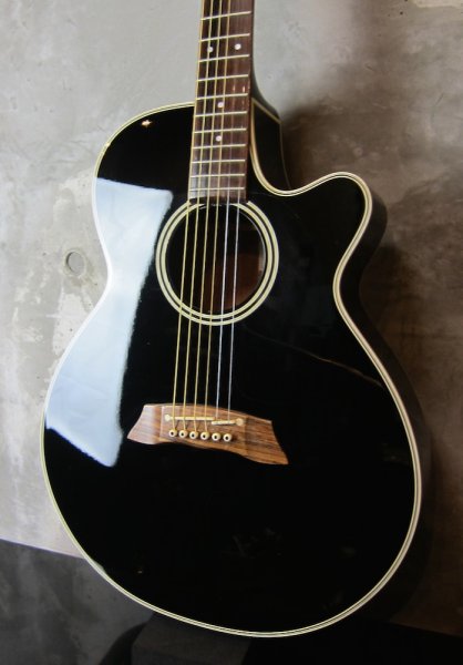 画像1: Takamine PT-106 GBB (1)