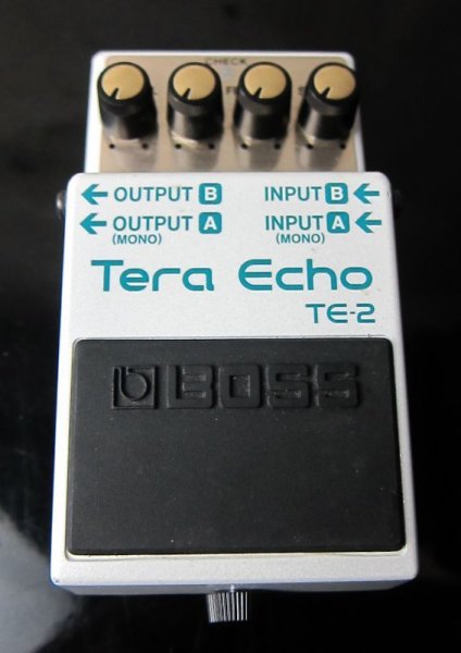 画像1: BOSS Tera Echo TE-2 (1)