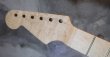 画像3: Warmoth Stratocaster NECK 22 Frets / Birdseye Maple / Left Handed (3)