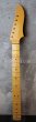 画像1: Warmoth Maple Neck 22F  / Moderen Mooncaster (1)