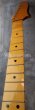 画像5: Warmoth Maple Neck 22F  / Moderen Mooncaster (5)