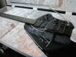 画像1: Steinberger  Drop-in Hard Case / オリジナルCASE作成  (1)