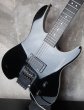 画像3: Steinberger GM-1S  (3)