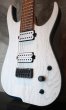 画像3: Skervesen Velociraptor 7-String / Trans White Top / Trans Blue Back (3)