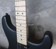 画像11: Charvel Custom Shop  SanDimas SSH  / Off Black (11)