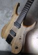 画像9: Mayones Hydra 6 / Black Limba (9)