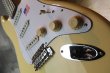 画像11: Fender USA Yngwie Malmsteen Signature Stratocaster / Rosewood   (3) (11)