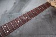 画像4: Fender USA Yngwie Malmsteen Signature Stratocaster / Rosewood   (3) (4)